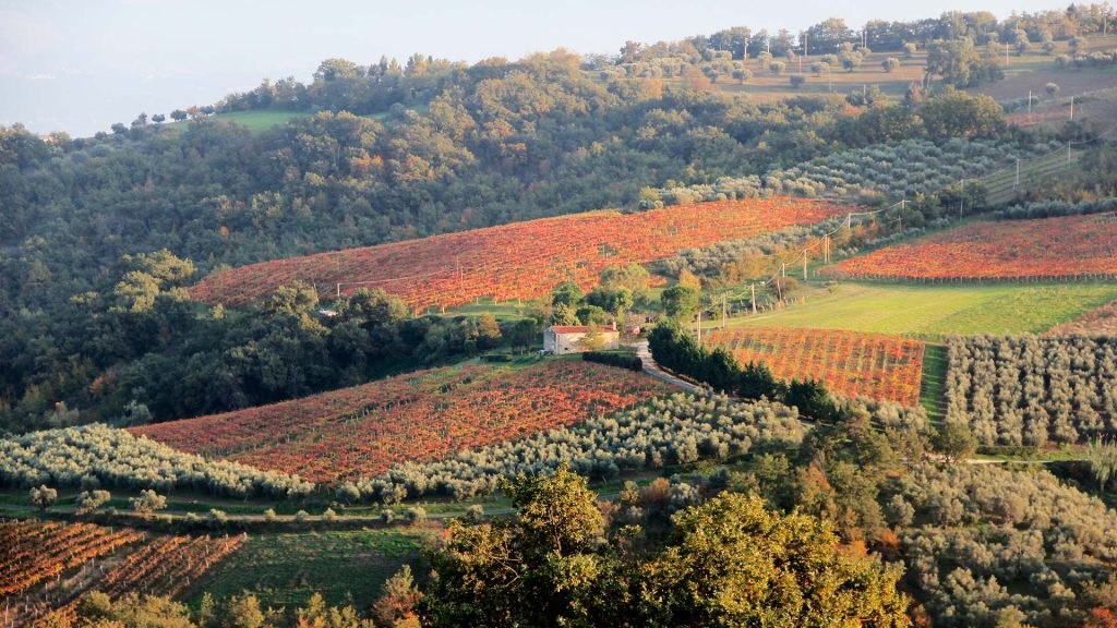 Paesaggio