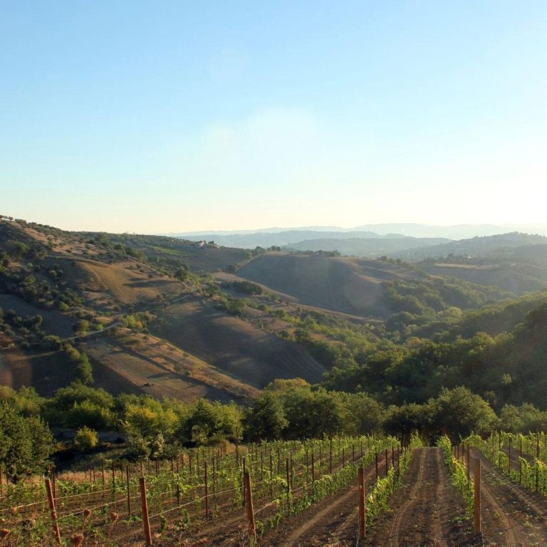 Paesaggio
