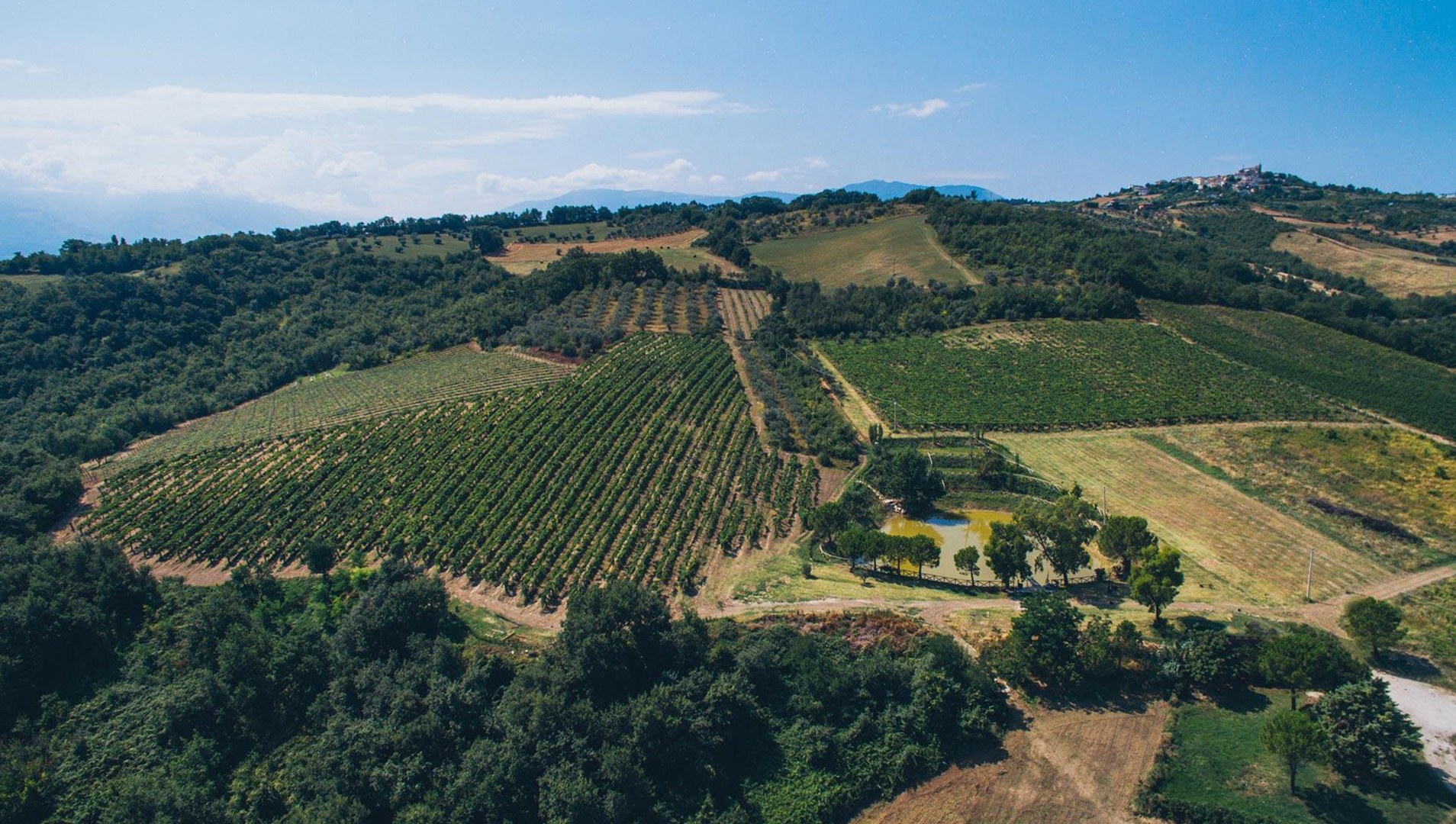 Paesaggio
